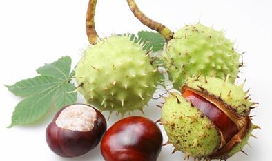 Конски кестен от разширени вени на долните крайници
